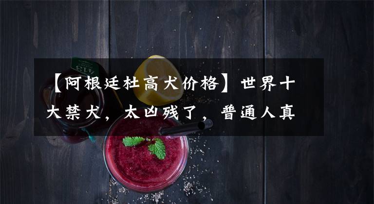 【阿根廷杜高犬价格】世界十大禁犬，太凶残了，普通人真的招架不住