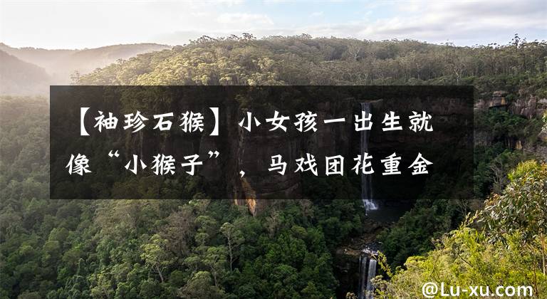 【袖珍石猴】小女孩一出生就像“小猴子”,马戏团花重金购买,母亲会怎么做?