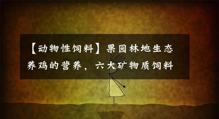 【动物性饲料】果园林地生态养鸡的营养,六大矿物质饲料和微量元素饲料
