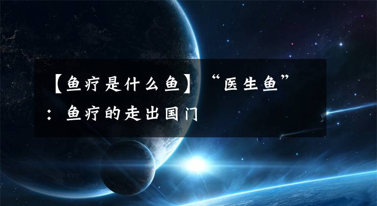 【鱼疗是什么鱼】“医生鱼”：鱼疗的走出国门