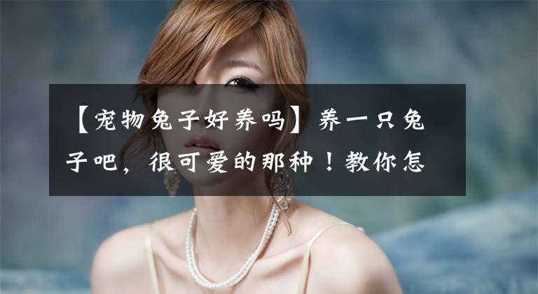 【宠物兔子好养吗】养一只兔子吧，很可爱的那种！教你怎么养宠物兔~