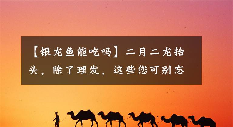 【银龙鱼能吃吗】二月二龙抬头，除了理发，这些您可别忘了吃