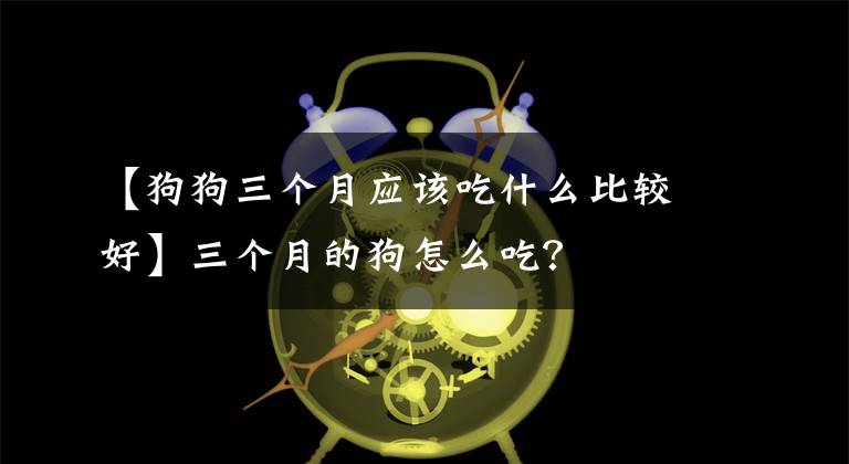 【狗狗三个月应该吃什么比较好】三个月的狗怎么吃?
