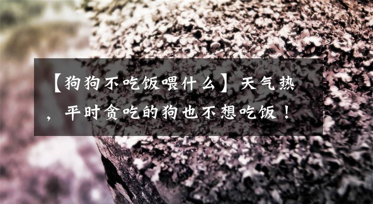 【狗狗不吃饭喂什么】天气热，平时贪吃的狗也不想吃饭！主人这样喂的话，马上就来劲了。