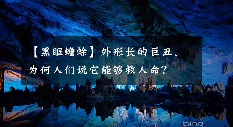 【黑眶蟾蜍】外形长的巨丑,为何人们说它能够救人命?