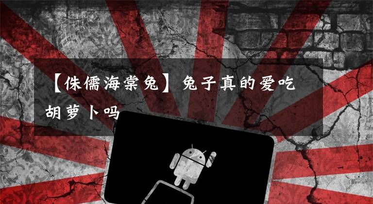 【侏儒海棠兔】兔子真的爱吃胡萝卜吗