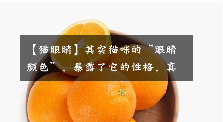 【猫眼睛】其实猫咪的“眼睛颜色”，暴露了它的性格，真的很准