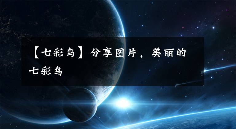 【七彩鸟】分享图片，美丽的七彩鸟
