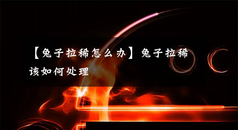 【兔子拉稀怎么办】兔子拉稀该如何处理