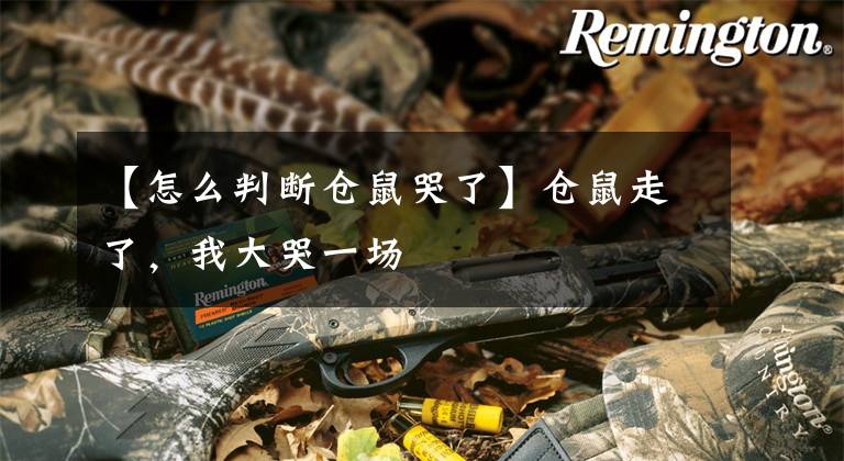 【怎么判断仓鼠哭了】仓鼠走了，我大哭一场