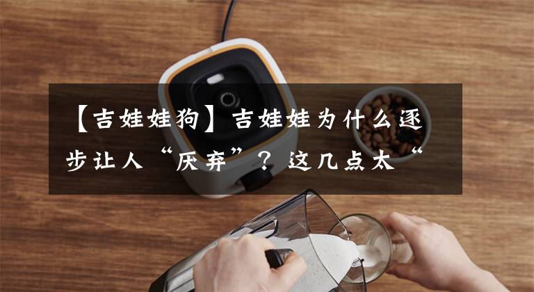 【吉娃娃狗】吉娃娃为什么逐步让人“厌弃”？这几点太“可怕”了