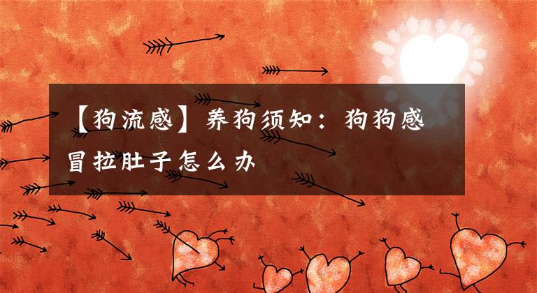 【狗流感】养狗须知：狗狗感冒拉肚子怎么办