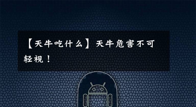 【天牛吃什么】天牛危害不可轻视！