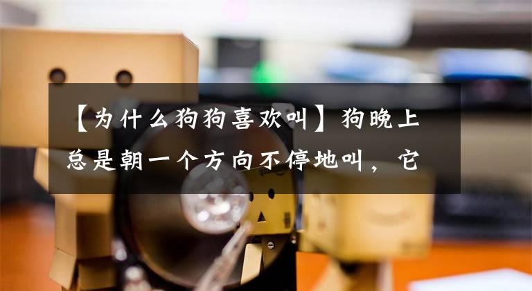 【为什么狗狗喜欢叫】狗晚上总是朝一个方向不停地叫，它看到了什么？