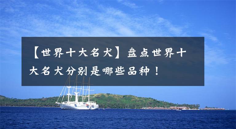 【世界十大名犬】盘点世界十大名犬分别是哪些品种！