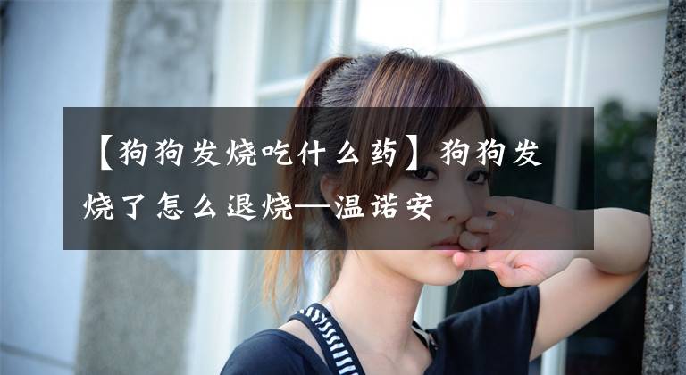 【狗狗发烧吃什么药】狗狗发烧了怎么退烧—温诺安