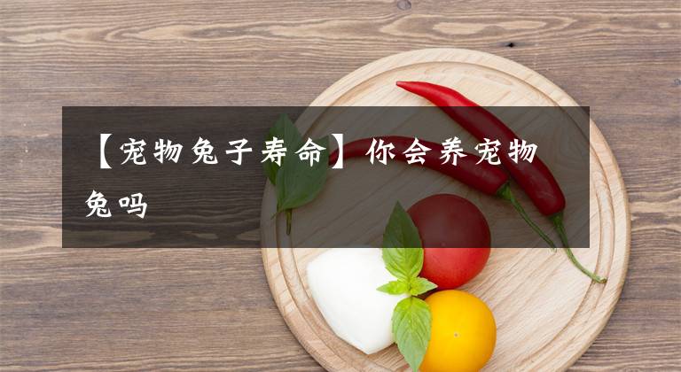 【宠物兔子寿命】你会养宠物兔吗