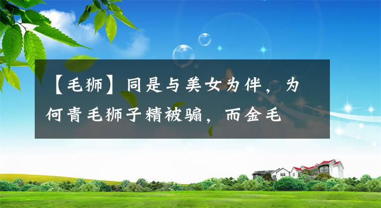 【毛狮】同是与美女为伴，为何青毛狮子精被骟，而金毛犼却没事？