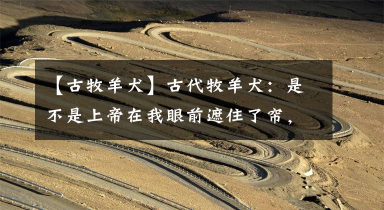 【古牧羊犬】古代牧羊犬：是不是上帝在我眼前遮住了帘，忘了掀开？