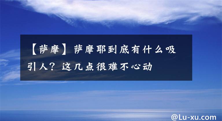 【萨摩】萨摩耶到底有什么吸引人?这几点很难不心动