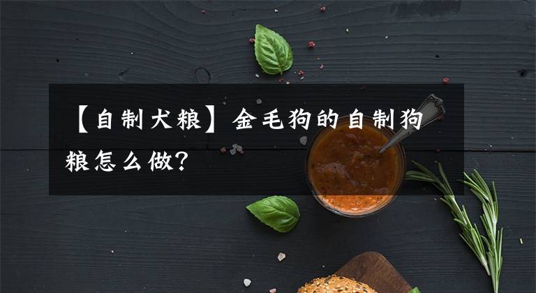【自制犬粮】金毛狗的自制狗粮怎么做？
