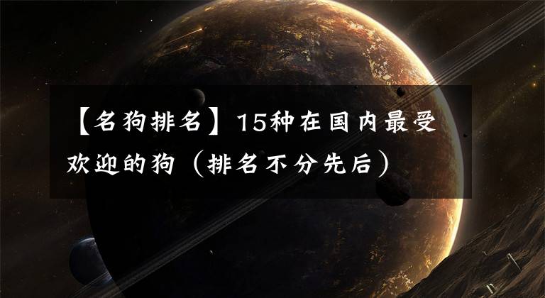 【名狗排名】15种在国内最受欢迎的狗(排名不分先后)