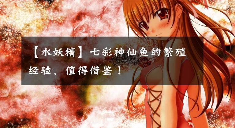 【水妖精】七彩神仙鱼的繁殖经验，值得借鉴！