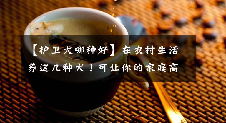 【护卫犬哪种好】在农村生活养这几种犬!可让你的家庭高枕无忧