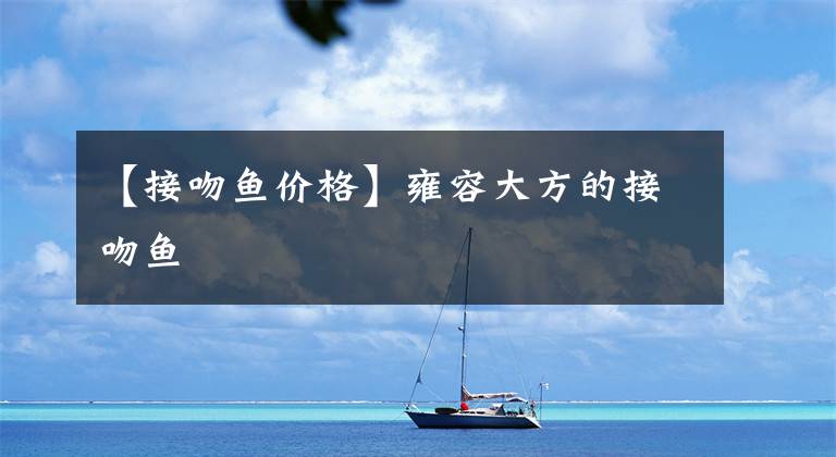 【接吻鱼价格】雍容大方的接吻鱼