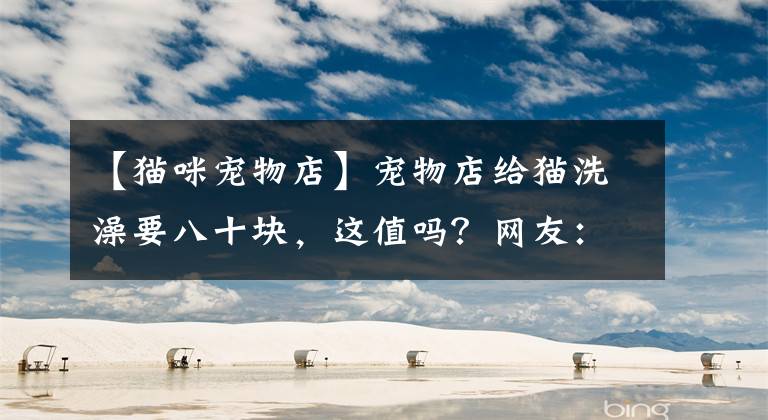 【猫咪宠物店】宠物店给猫洗澡要八十块，这值吗？网友：但凡洗过猫都不会觉得贵