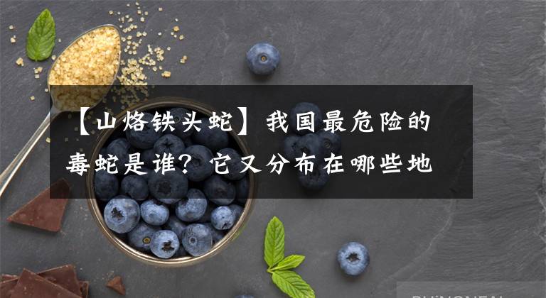 【山烙铁头蛇】我国最危险的毒蛇是谁？它又分布在哪些地区呢？