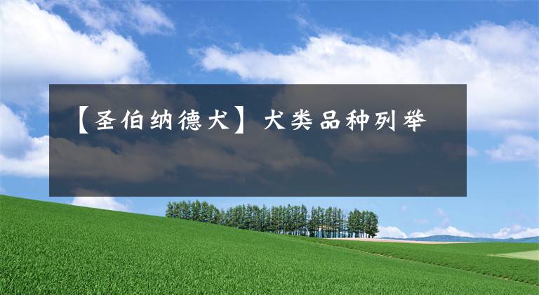 【圣伯纳德犬】犬类品种列举