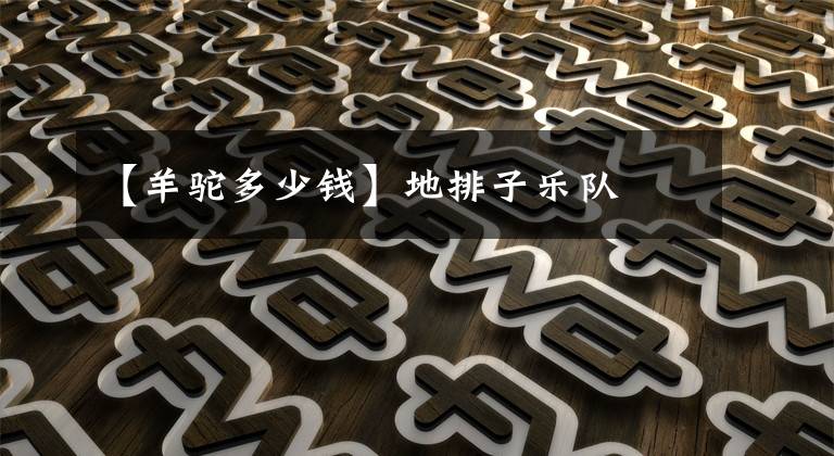 【羊驼多少钱】地排子乐队