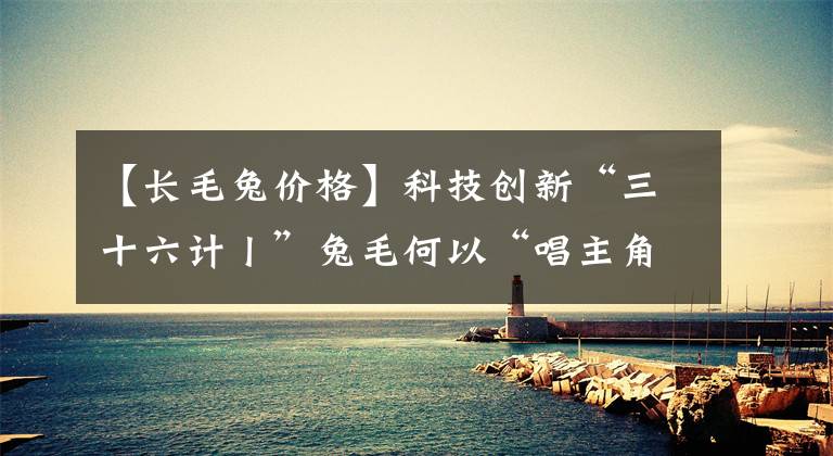 【长毛兔价格】科技创新“三十六计丨”兔毛何以“唱主角”?