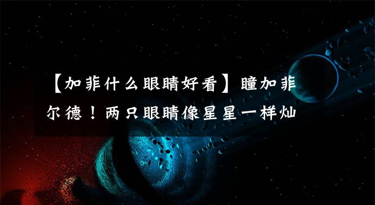 【加菲什么眼睛好看】瞳加菲尔德!两只眼睛像星星一样灿烂,对主人100000元也不换