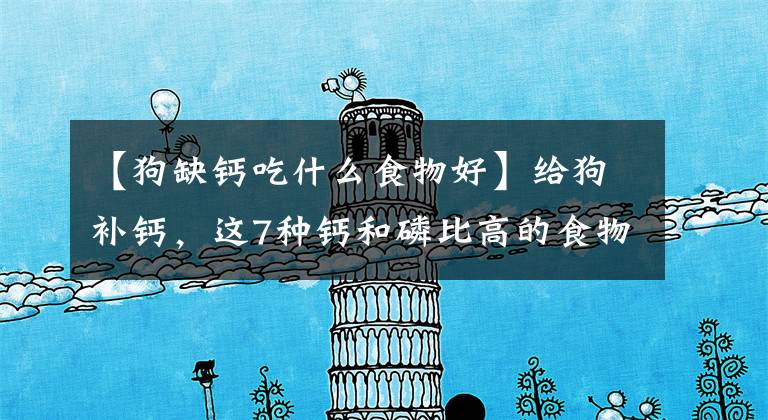 【狗缺钙吃什么食物好】给狗补钙，这7种钙和磷比高的食物更好，都是常见的食物