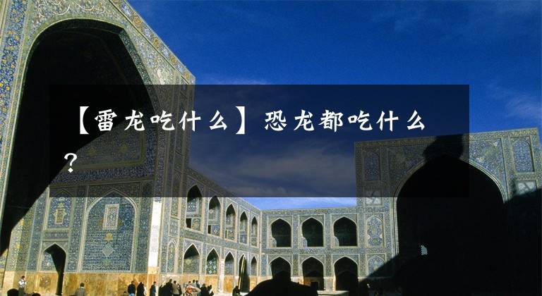 【雷龙吃什么】恐龙都吃什么？