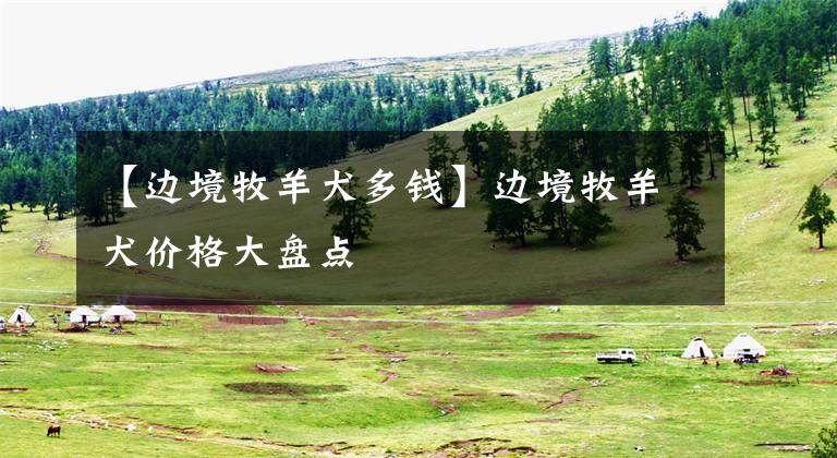 【边境牧羊犬多钱】边境牧羊犬价格大盘点