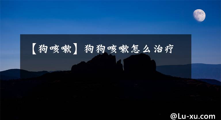 【狗咳嗽】狗狗咳嗽怎么治疗
