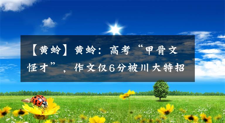 【黄蛉】黄蛉:高考“甲骨文怪才”,作文仅6分被川大特招。却自毁前程