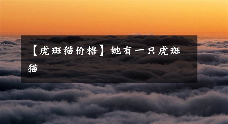 【虎斑猫价格】她有一只虎斑猫