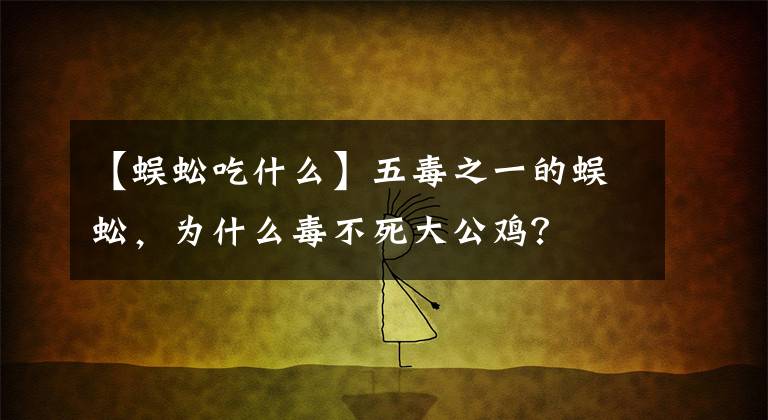 【蜈蚣吃什么】五毒之一的蜈蚣，为什么毒不死大公鸡？