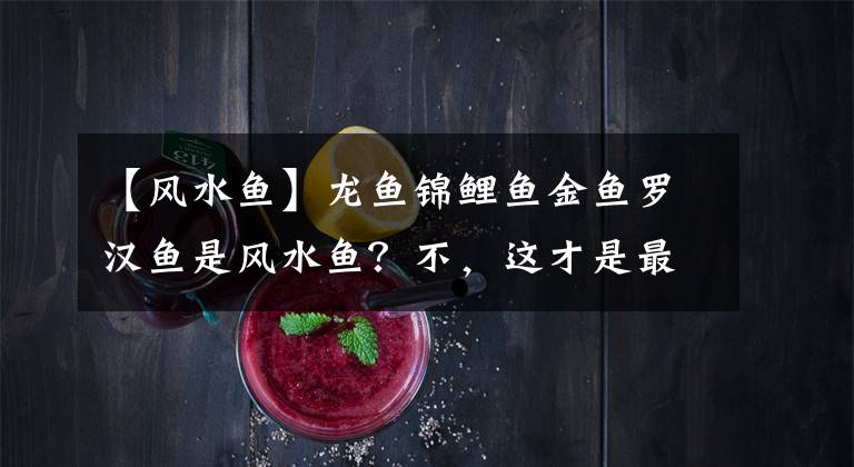 【风水鱼】龙鱼锦鲤鱼金鱼罗汉鱼是风水鱼？不，这才是最好最灵的风水鱼