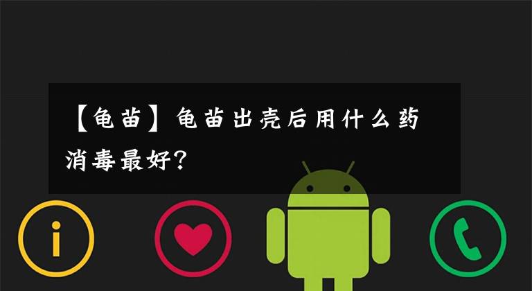 【龟苗】龟苗出壳后用什么药消毒最好?