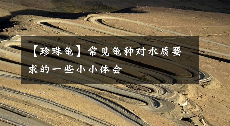 【珍珠龟】常见龟种对水质要求的一些小小体会