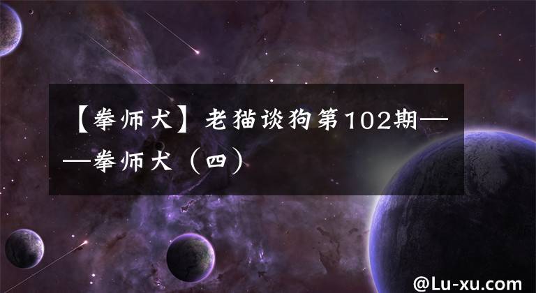 【拳师犬】老猫谈狗第102期——拳师犬(四)