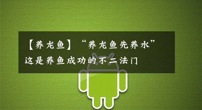 【养龙鱼】“养龙鱼先养水”这是养鱼成功的不二法门