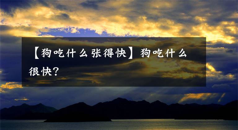 【狗吃什么张得快】狗吃什么很快？