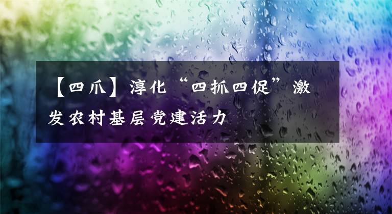 【四爪】淳化“四抓四促”激发农村基层党建活力