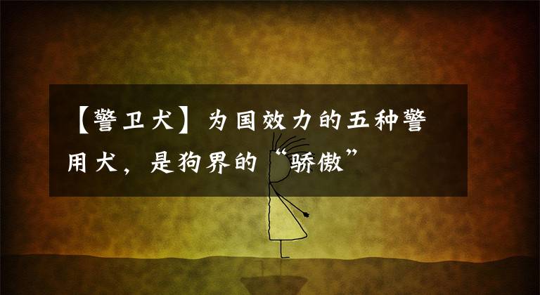 【警卫犬】为国效力的五种警用犬，是狗界的“骄傲”